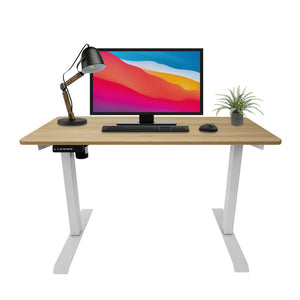 Electric Height Adjustable Standing Desk | 48x24 in